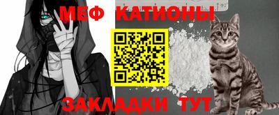 шишки Кингисепп
