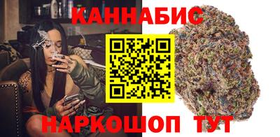 шишки Кингисепп